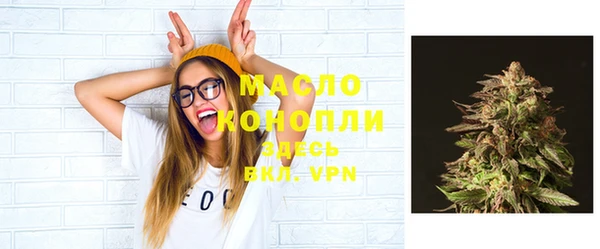 гашик Костерёво