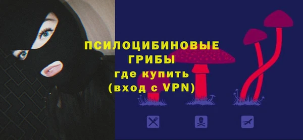 гашик Костерёво