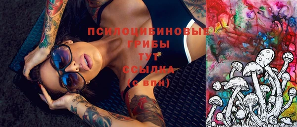 спайс Кодинск