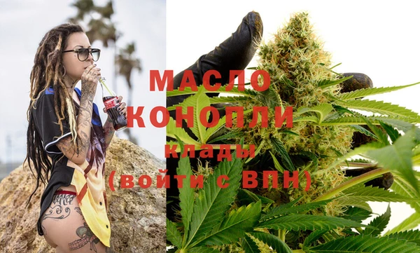 гашик Костерёво