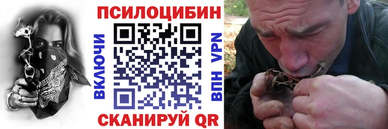 ссылка на мегу как войти  Лангепас  Галлюциногенные грибы Psilocybe 