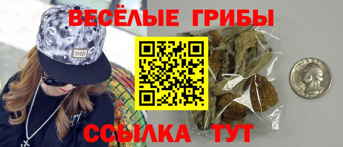 Псилоцибиновые грибы мицелий  Вход с VPN  где можно купить наркотик  Лангепас 
